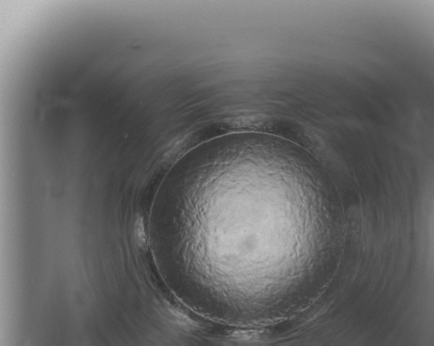 X0000060570089200511101641