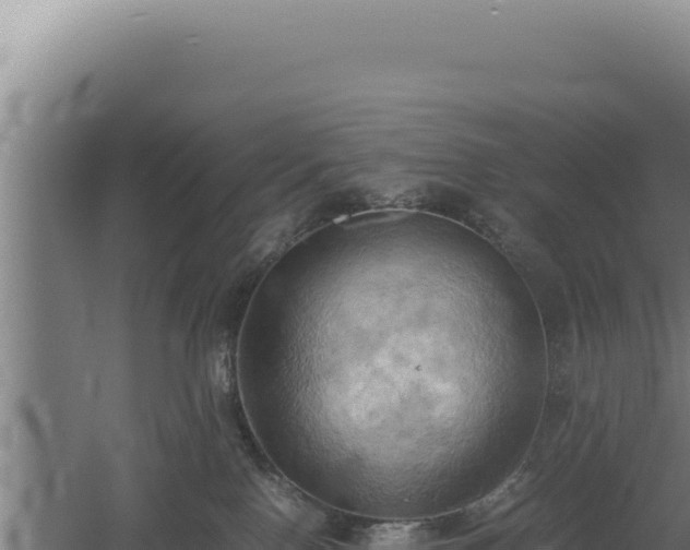 X0000060570090200511101641