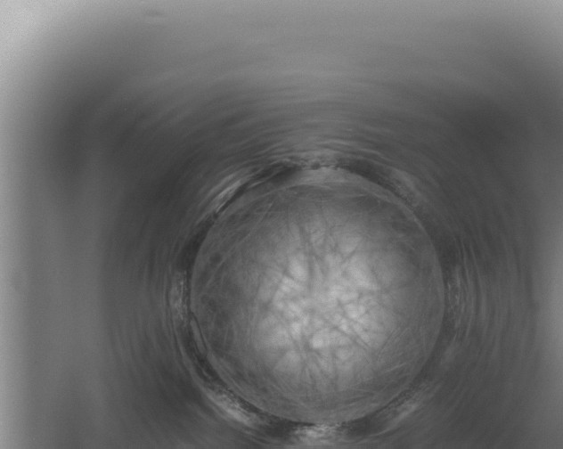 X0000060570092200511101641