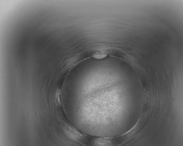 X0000060570094200511101641