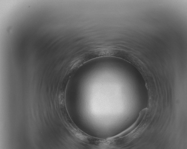 X0000060570096200511101641