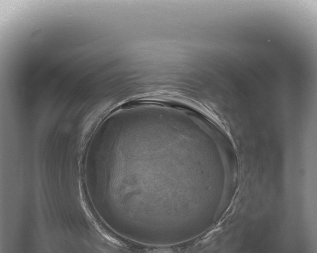 X0000060570097200511101640