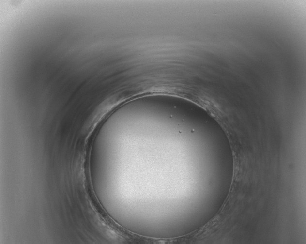 X0000060570098200511101640