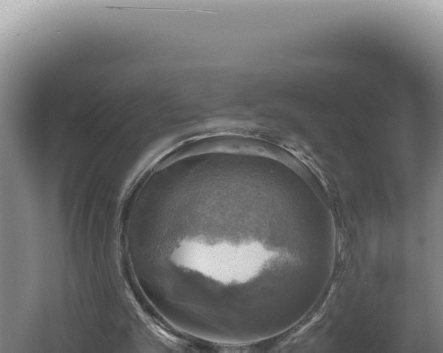 X0000060570101200511101640