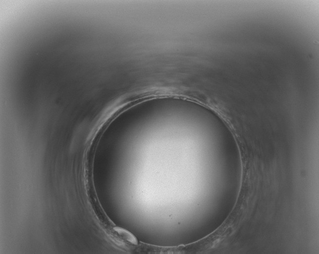 X0000060570103200511101640