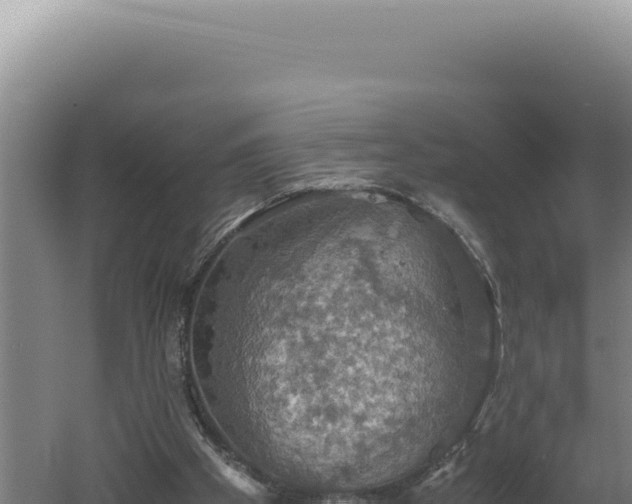 X0000060570105200511101640