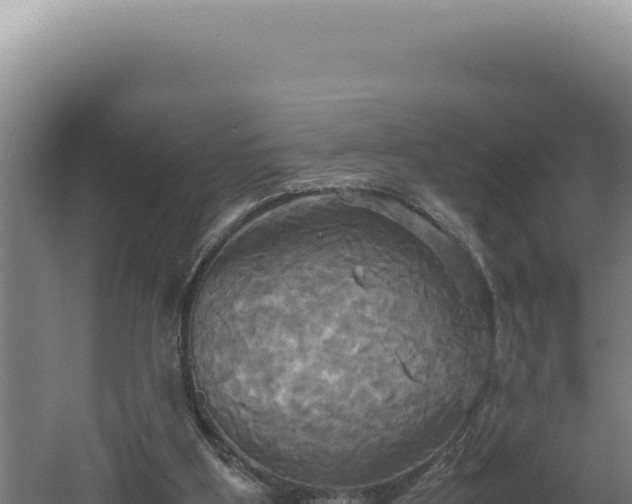 X0000060570107200511101640