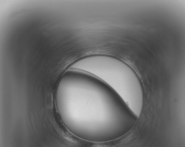 X0000060570109200511101640