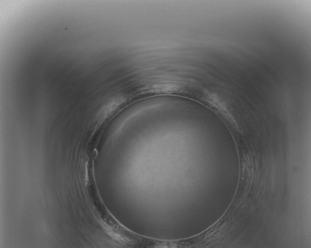 X0000060570110200511101640