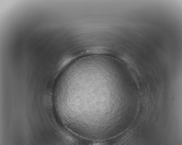 X0000060570111200511101640