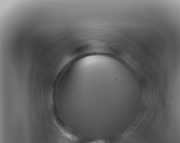 X0000060570112200511101640