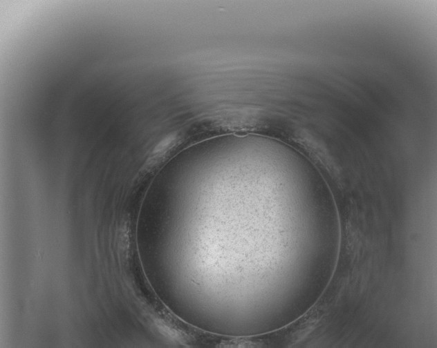 X0000060570113200511101640