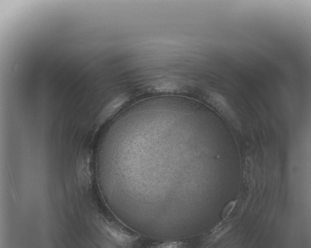 X0000060570116200511101640