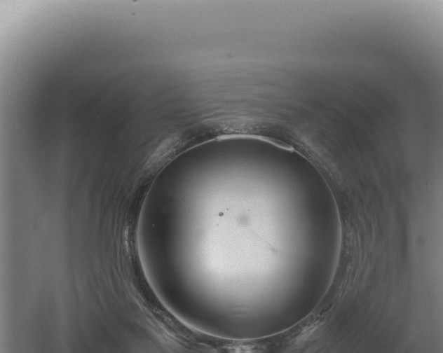 X0000060570117200511101640