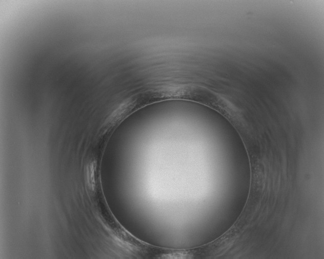 X0000060570118200511101640