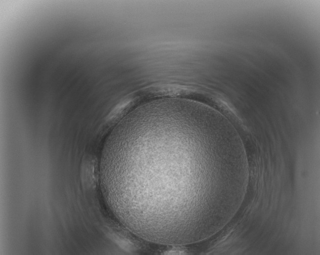 X0000060570119200511101640