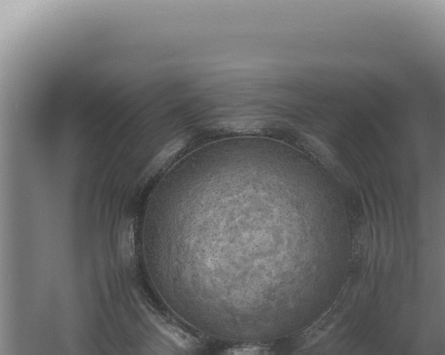 X0000060570120200511101640