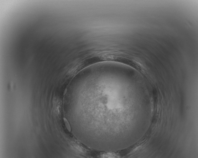 X0000060570125200511101640