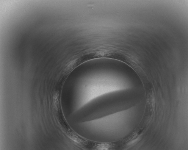 X0000060570127200511101640