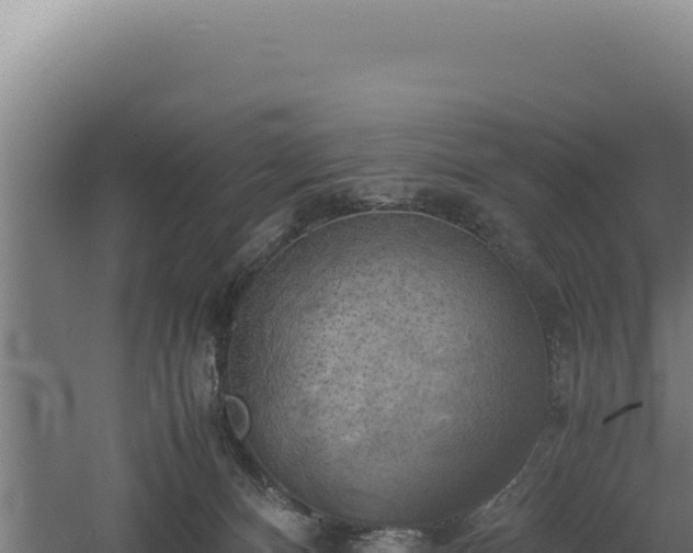 X0000060570128200511101640