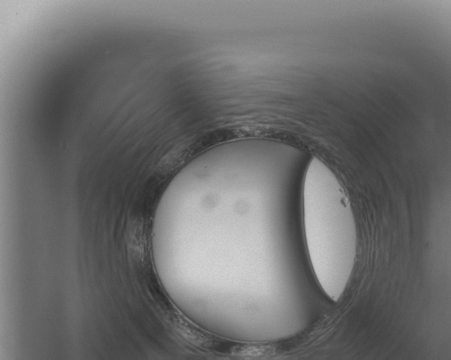 X0000060570129200511101640