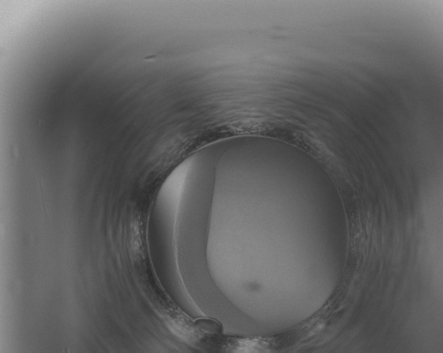 X0000060570130200511101640