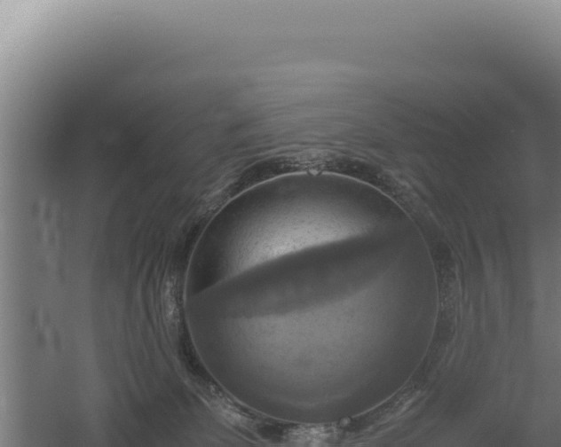 X0000060570131200511101640