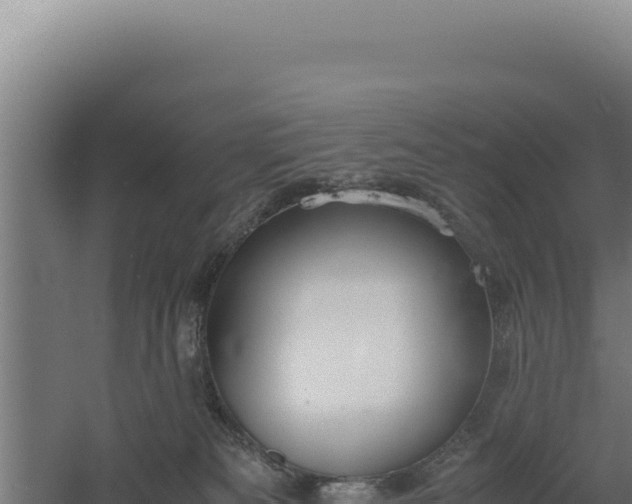 X0000060570133200511101639