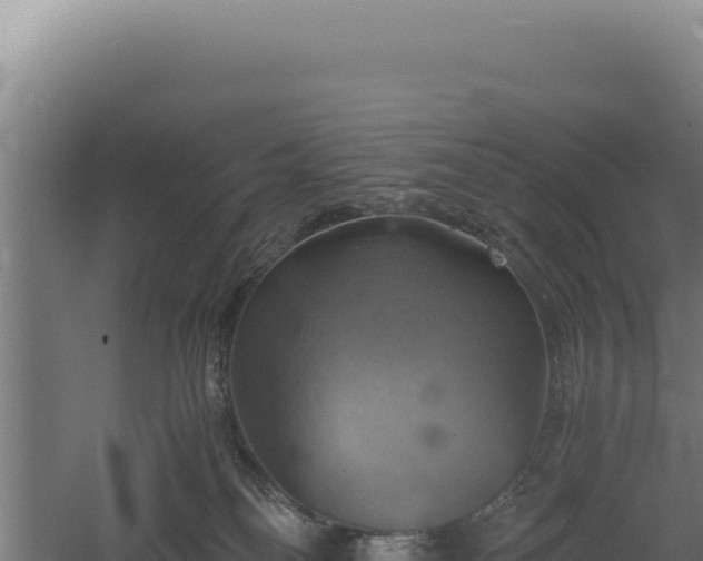 X0000060570134200511101639