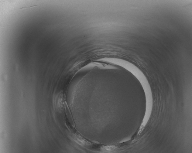 X0000060570137200511101639