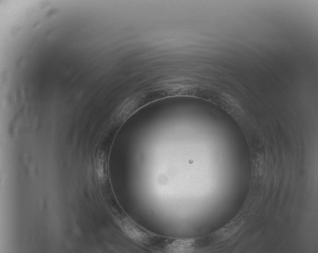 X0000060570138200511101639