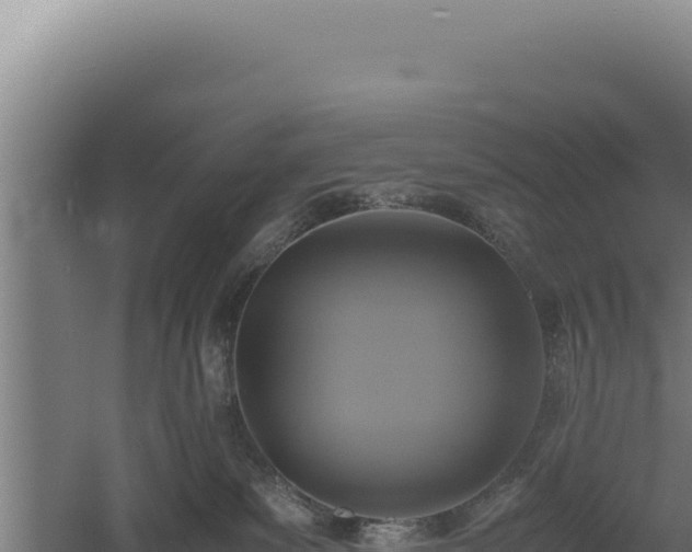 X0000060570139200511101639