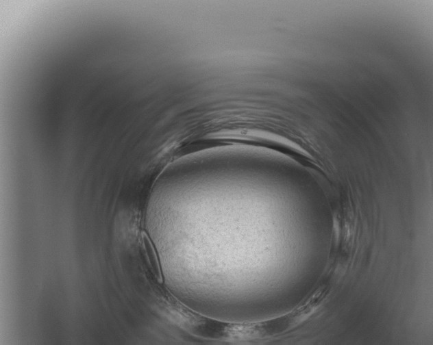 X0000060570141200511101639