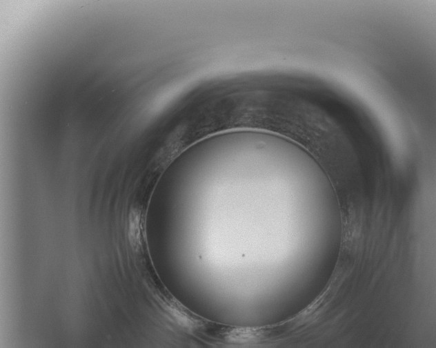 X0000060570142200511101639