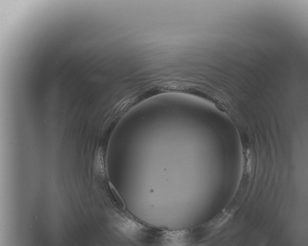 X0000060570143200511101639