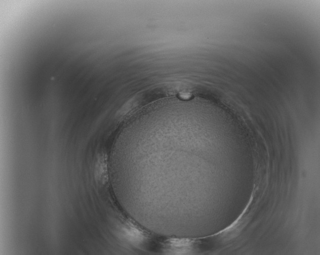 X0000060570144200511101639