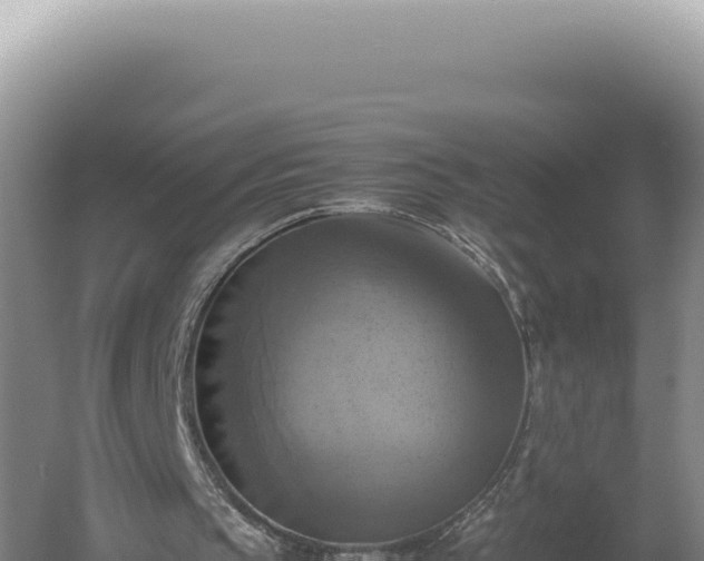 X0000060570145200511101638