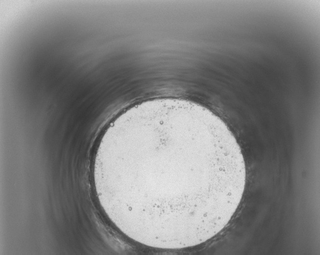 X0000060570146200511101638