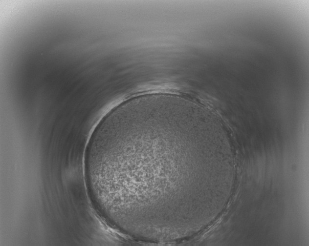 X0000060570148200511101639