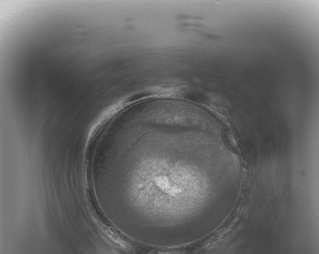 X0000060570149200511101639