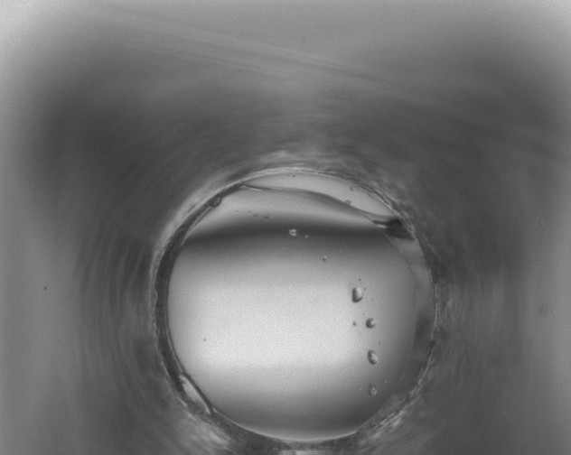 X0000060570150200511101639