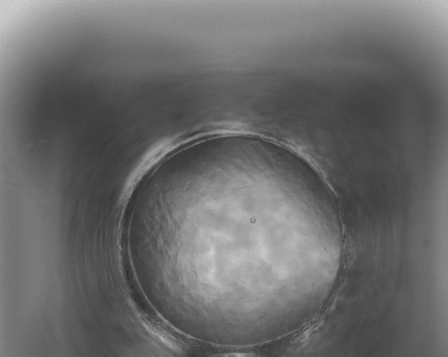 X0000060570151200511101639