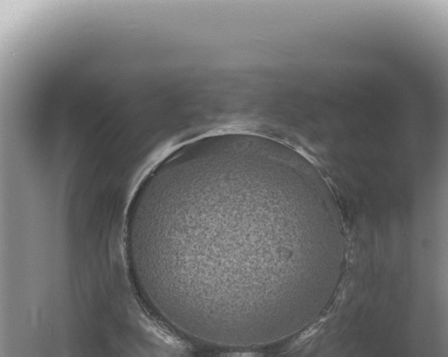 X0000060570152200511101639