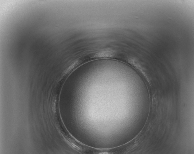 X0000060570153200511101639