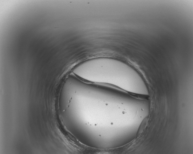 X0000060570154200511101639