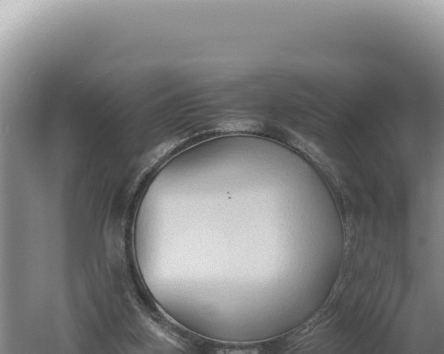 X0000060570155200511101639