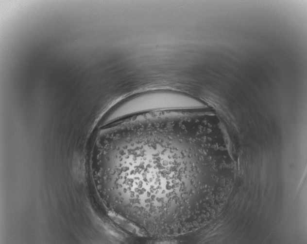 X0000060570156200511101639