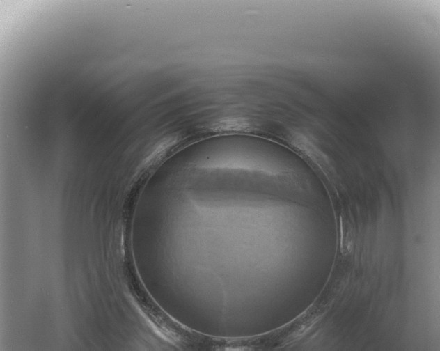 X0000060570157200511101639