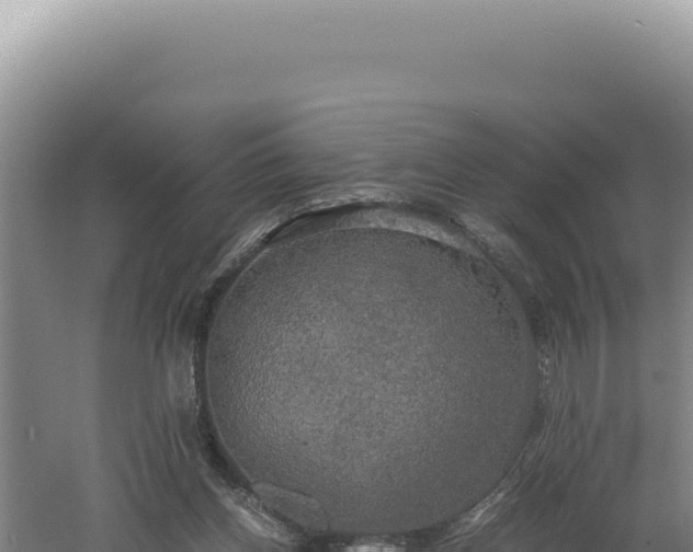 X0000060570158200511101639