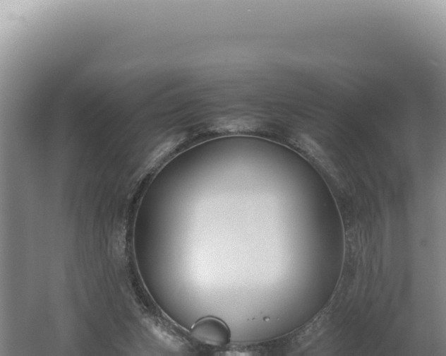 X0000060570159200511101639